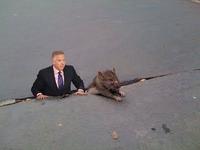 Sad Rat