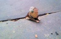 Sad Rat
