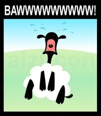 Baww