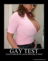 Gay Test