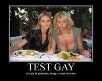 Gay Test