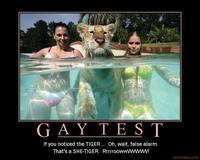 Gay Test