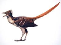 Jura_archaeopteryx