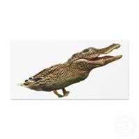 The_crocoduck_photocard-p2437888899669870152l5uw_400
