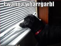 WHARRGARBL / Sprinkler Dog