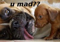 U MAD?