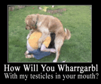 WHARRGARBL / Sprinkler Dog