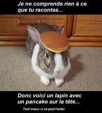 Pancake Bunny