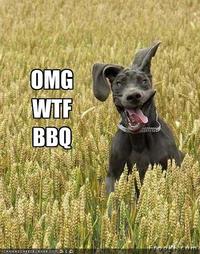 OMGWTFBBQ