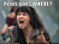 Penis Goes Where/Cock goes where