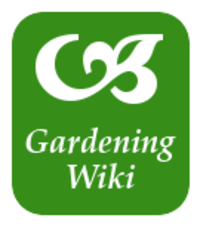 Wikipedia