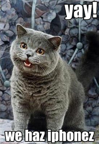 Happy Cat