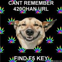 F5