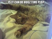 Is it can be hugs tiem now plees?