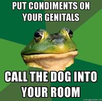 Foul Bachelor Frog