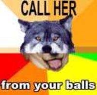 Combo Dog