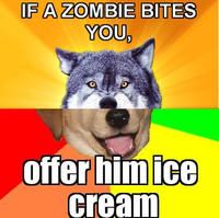 Combo Dog