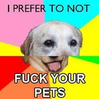 Combo Dog