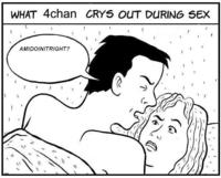 What 4chan Cries Out During Sex