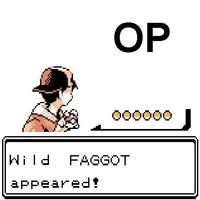 OP is a Faggot