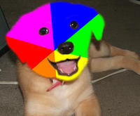 Advice Dog