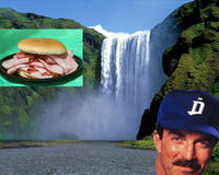 Selleck Waterfall Sandwich