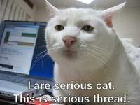 LOLcats