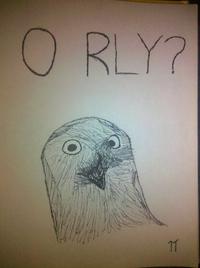 O RLY?