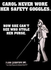 Carol’s Safety Goggles