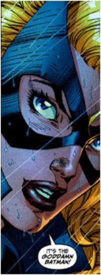 I'm The Goddamn Batman