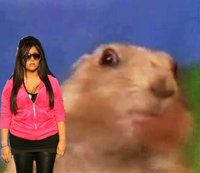SnookieShop