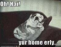 OH HAI