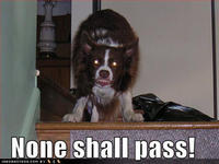 You Shall Not Pass!!!
