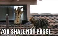 You Shall Not Pass!!!