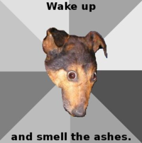 Depression Dog