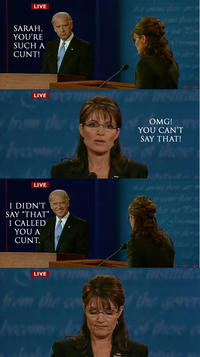 Biden / Palin Debate 4pane