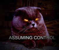 Assuming Control