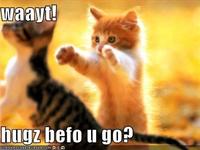 LOLcats