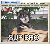 Cool Dog