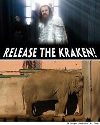Release The Kraken!