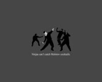 Ninjas Can't Catch You If...