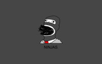 Ninjas Can't Catch You If...