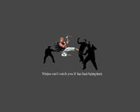 Ninjas Can't Catch You If...