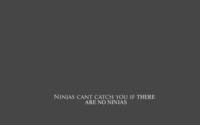 Ninjas Can't Catch You If...