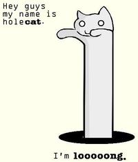 HoleGuy