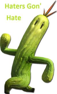 Haters Gonna Hate