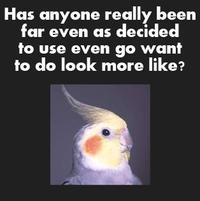 Has anyone really been far even as decided to use even go want to do look more like?