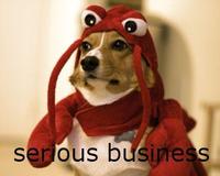 The Internet is Serious Business