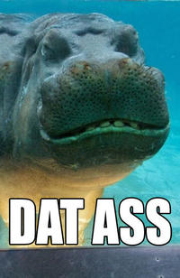 'Dat Ass