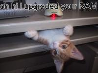 Oh Hi I Upgraded Your RAM